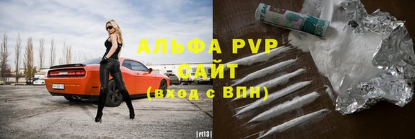 индика Магас