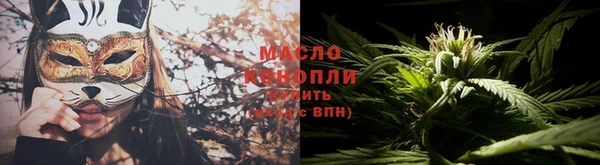 индика Магас