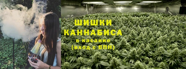 PSILOCYBIN Майский