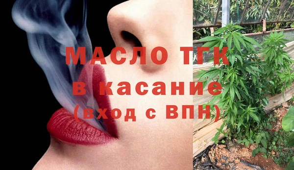 индика Магас