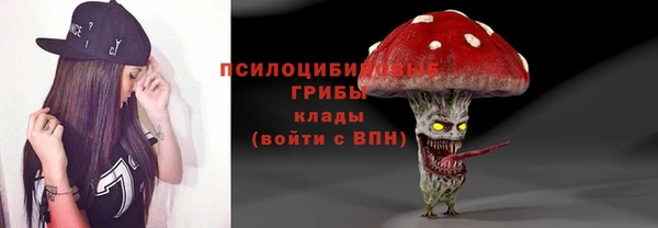 индика Магас