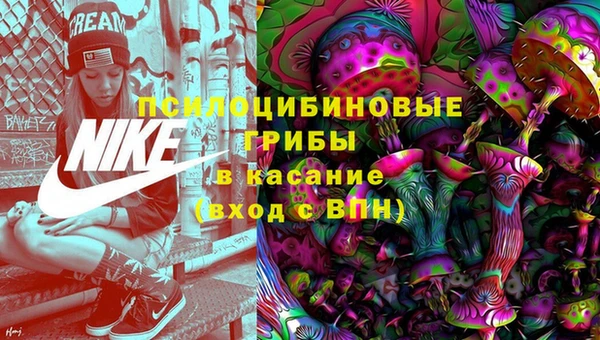индика Магас
