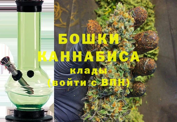 PSILOCYBIN Майский