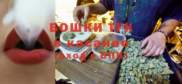 PSILOCYBIN Майский