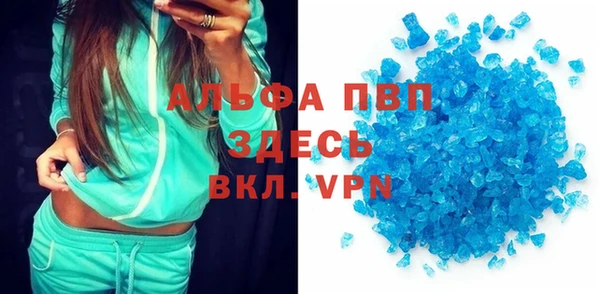 PSILOCYBIN Майский