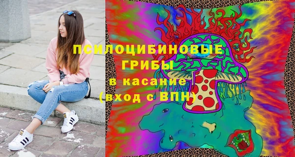 индика Магас