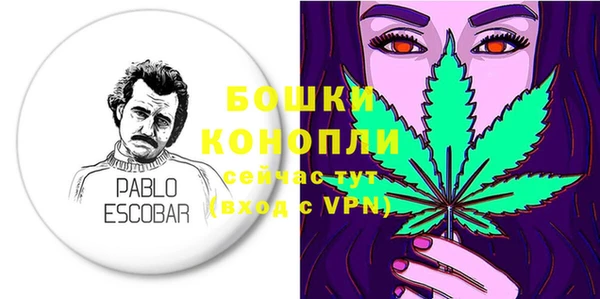 PSILOCYBIN Майский