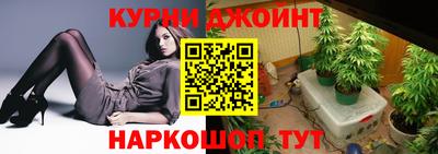 мдпв Гусев