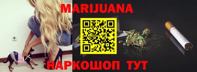 мдпв Гусев